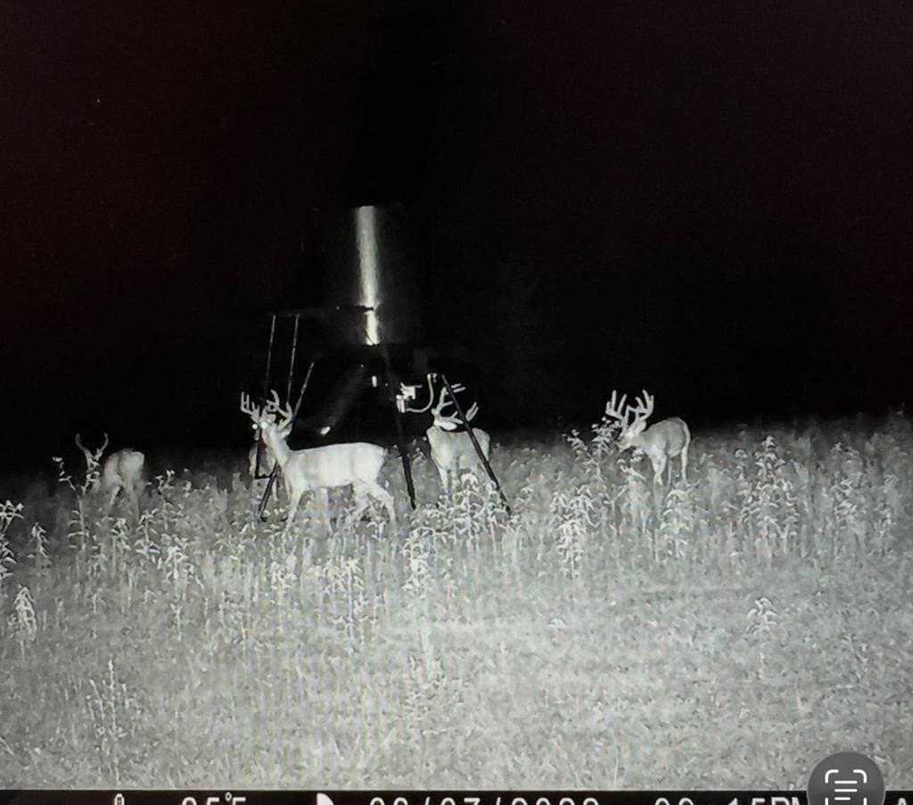 538.49 acres in Texas County - photo 31