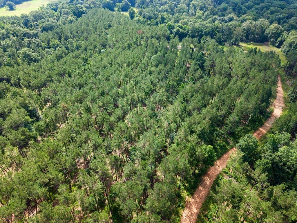 538.49 acres in Texas County - photo 28
