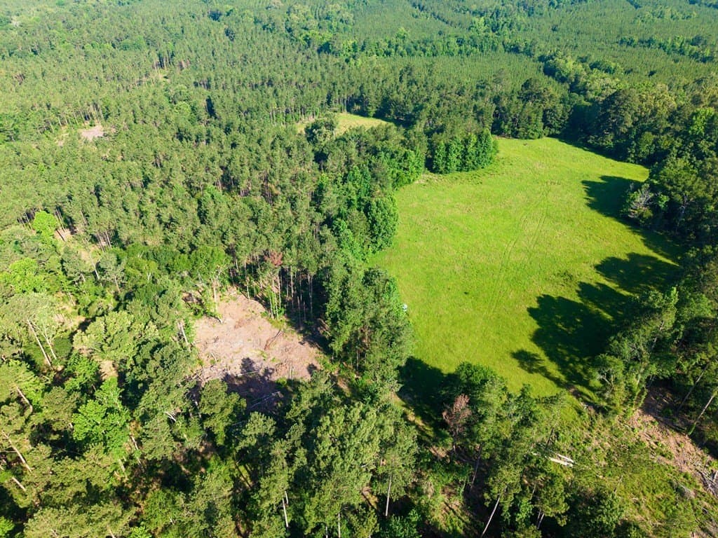 538.49 acres in Texas County - photo 17