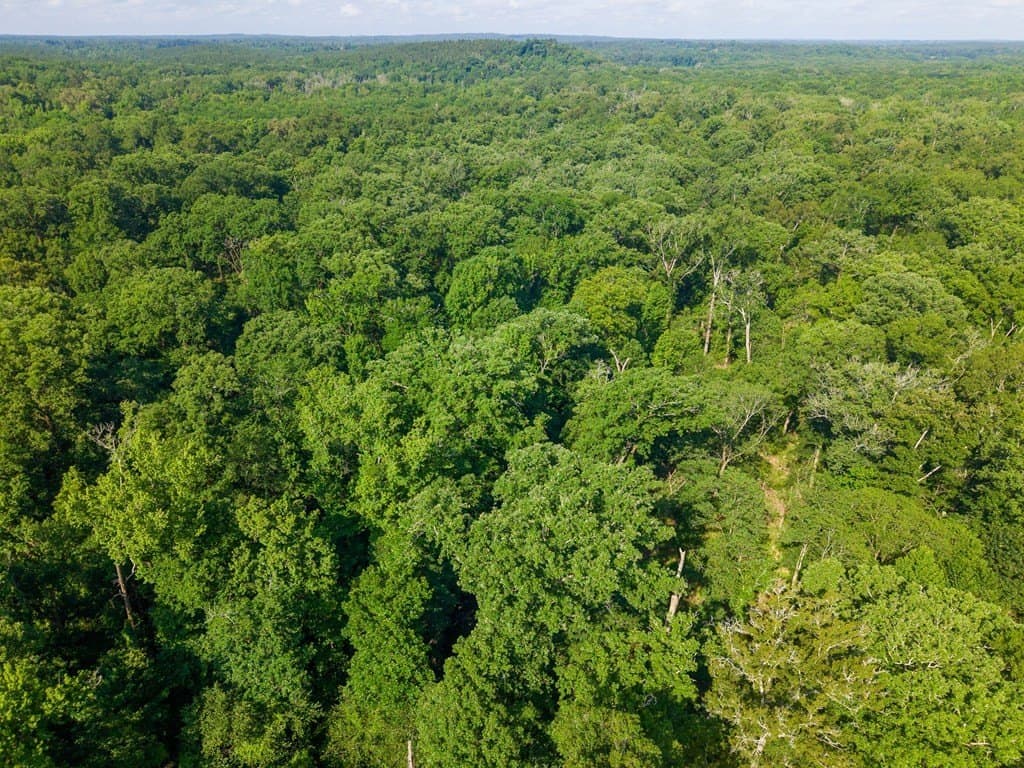 538.49 acres in Texas County - photo 20