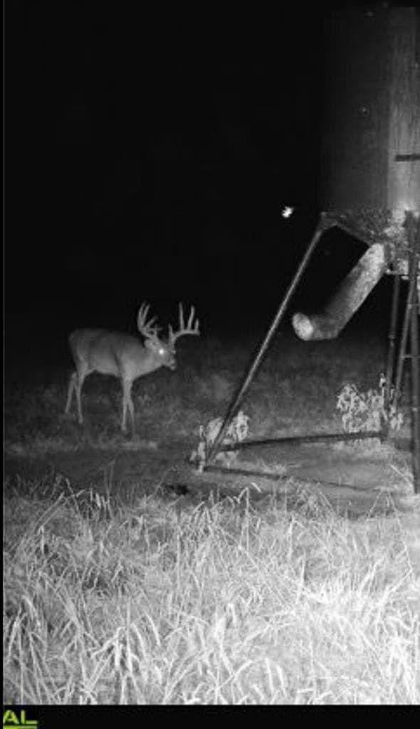 538.49 acres in Texas County - photo 39