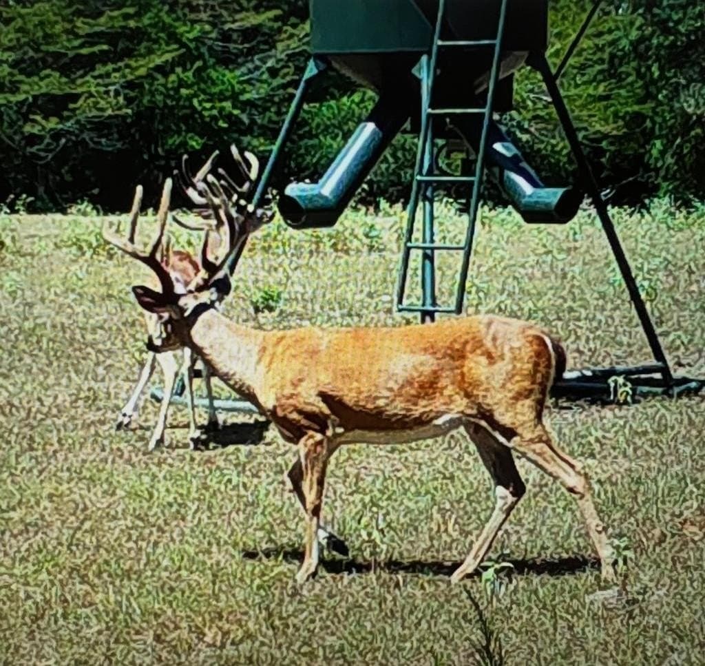 538.49 acres in Texas County - photo 36