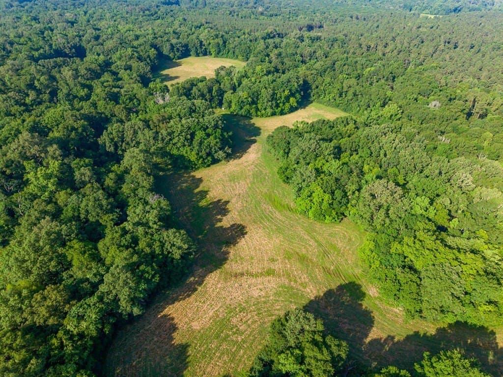 538.49 acres in Texas County - photo 9