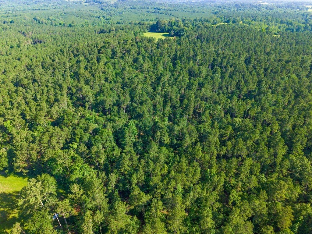 538.49 acres in Texas County - photo 12