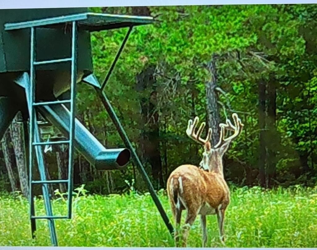 538.49 acres in Texas County - photo 35
