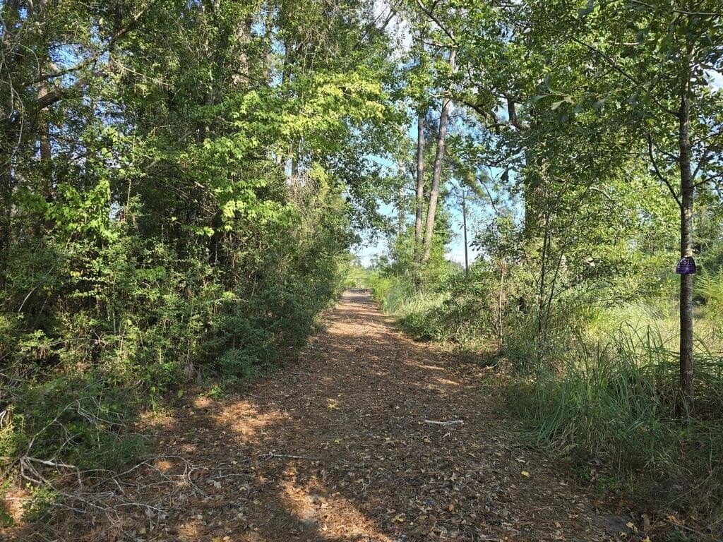 5 acres in Texas County - photo 5
