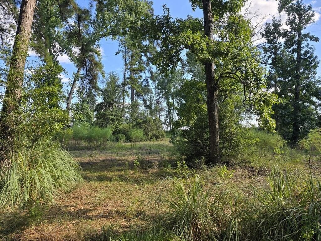 5 acres in Texas County - photo 6