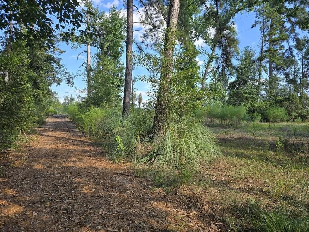 5 acres in Texas County - photo 7