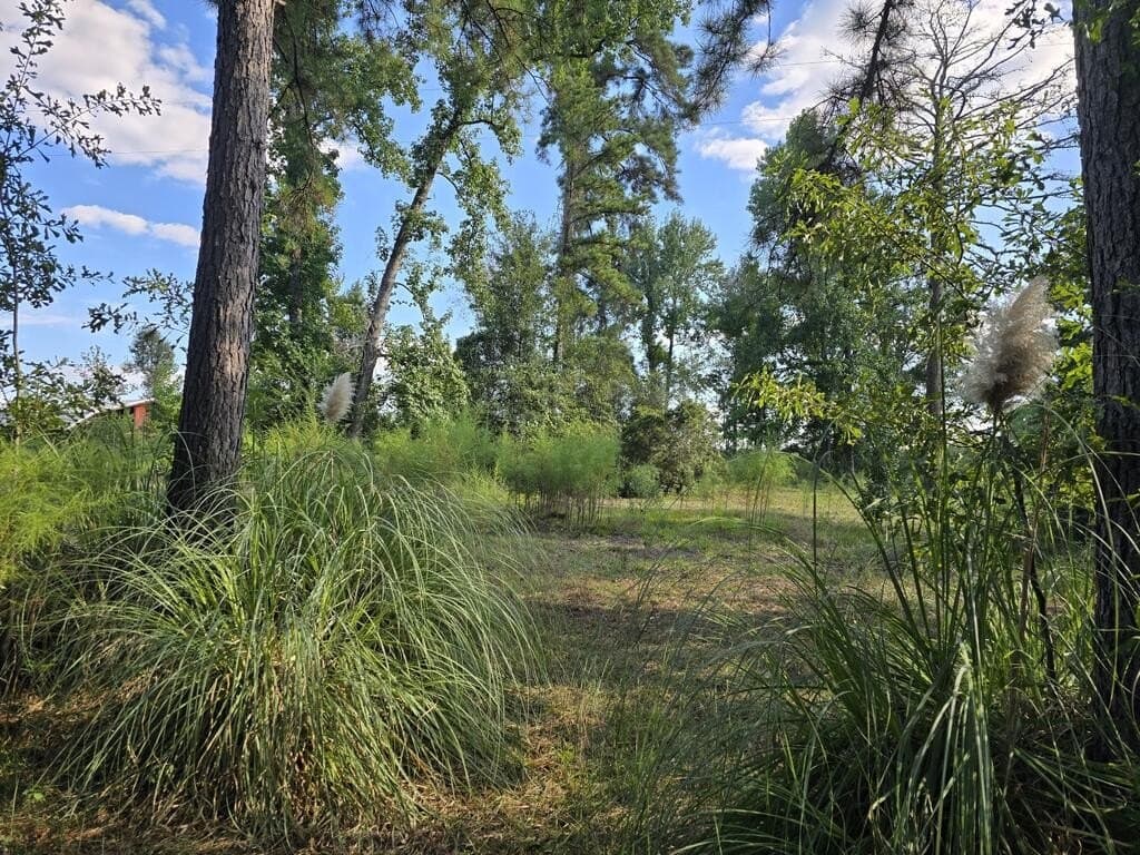 5 acres in Texas County - photo 9