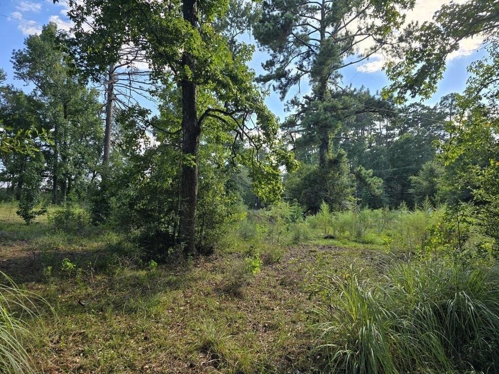 5 acres in Texas County - photo 8