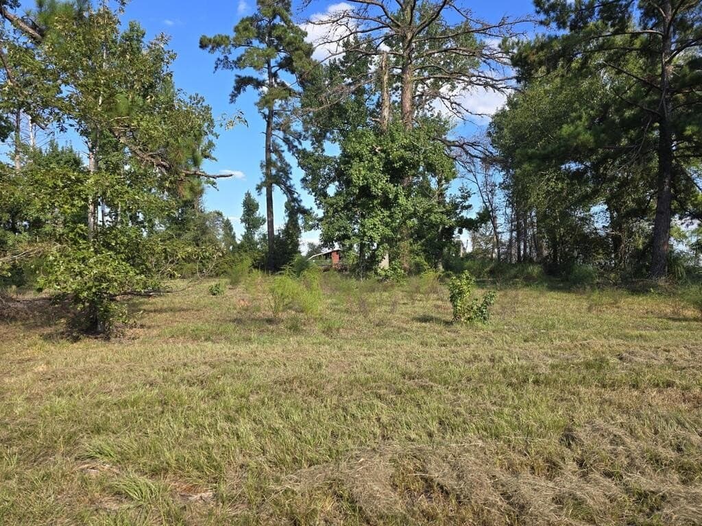 5 acres in Texas County - photo 2