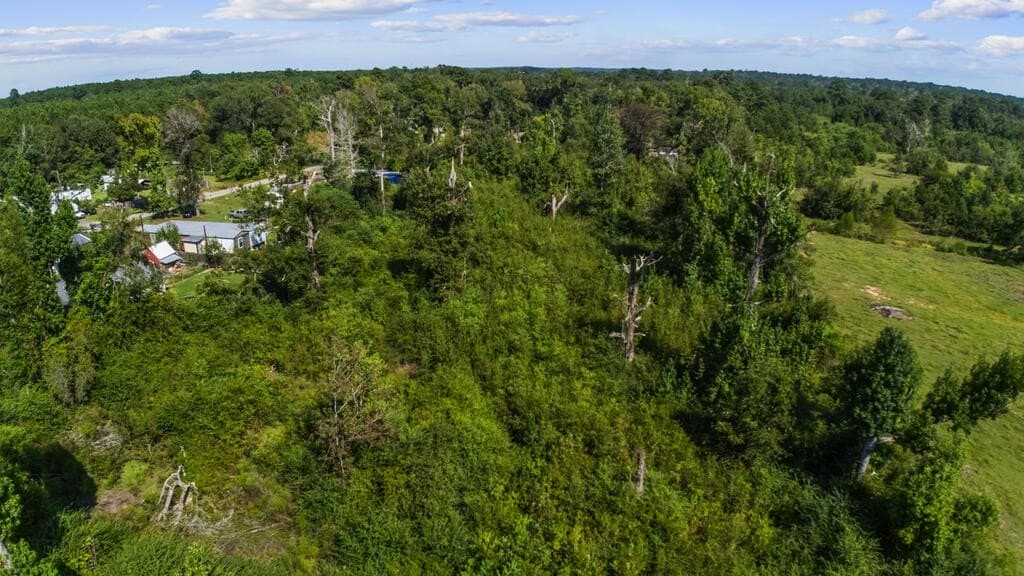 5 acres in Texas County - photo 11