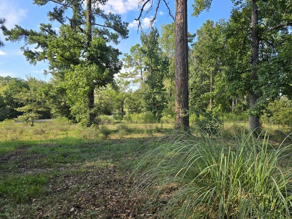 5 acres in Texas County - photo 4