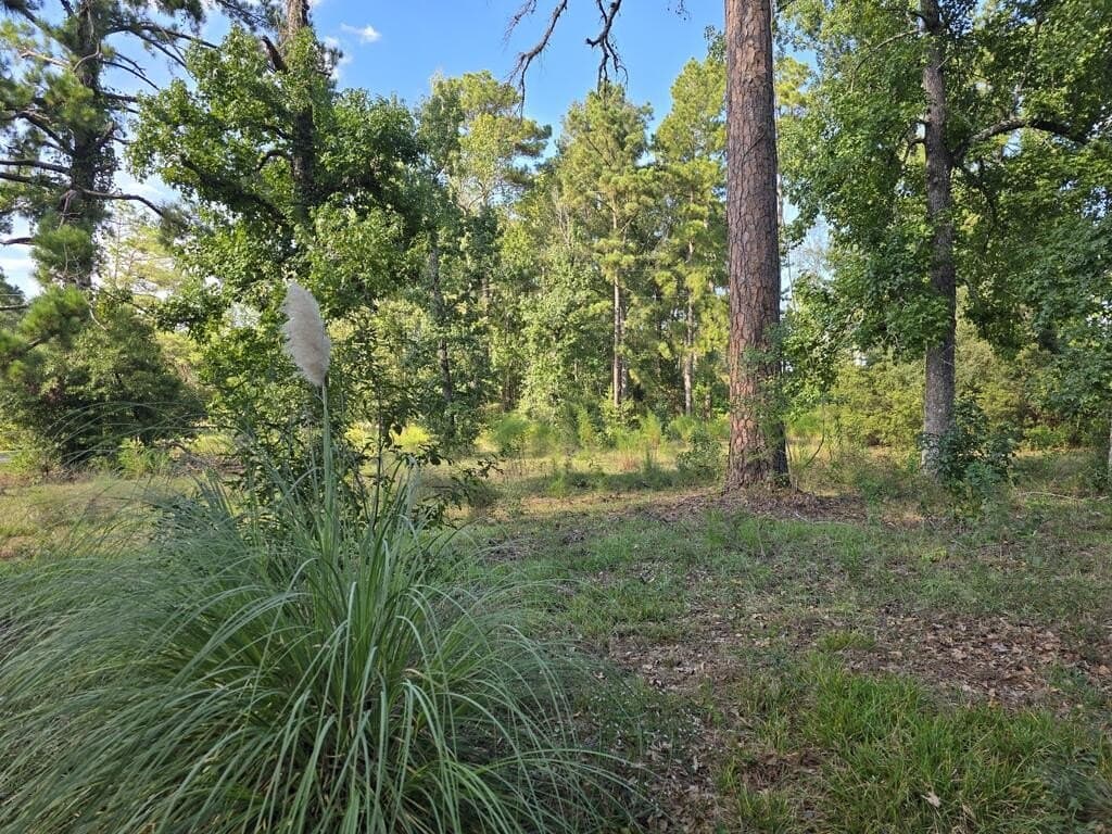 5 acres in Texas County - photo 3