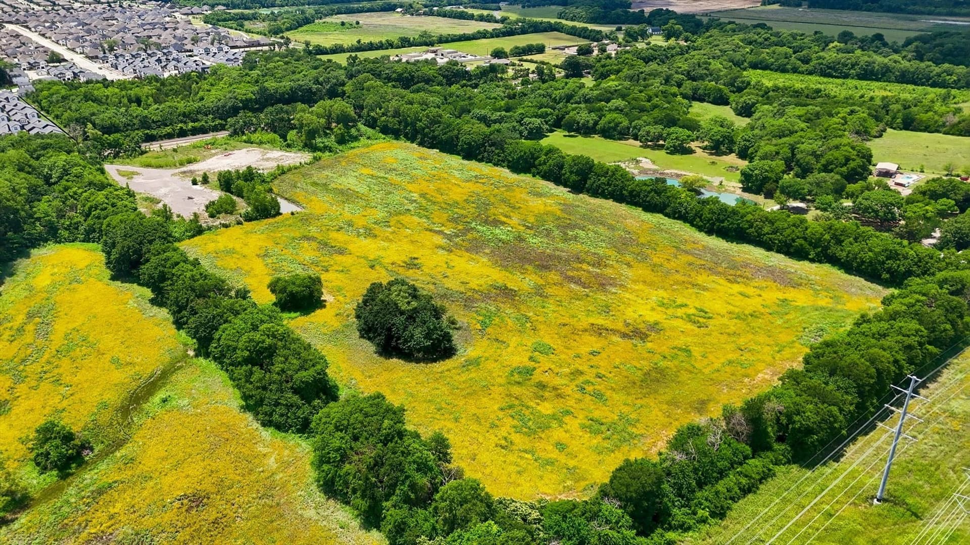 23.13 acres in Collin County - photo 11