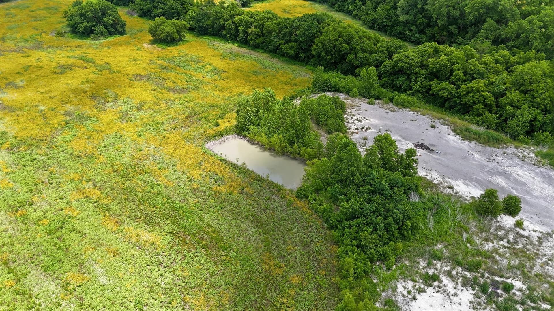 23.13 acres in Collin County - photo 23