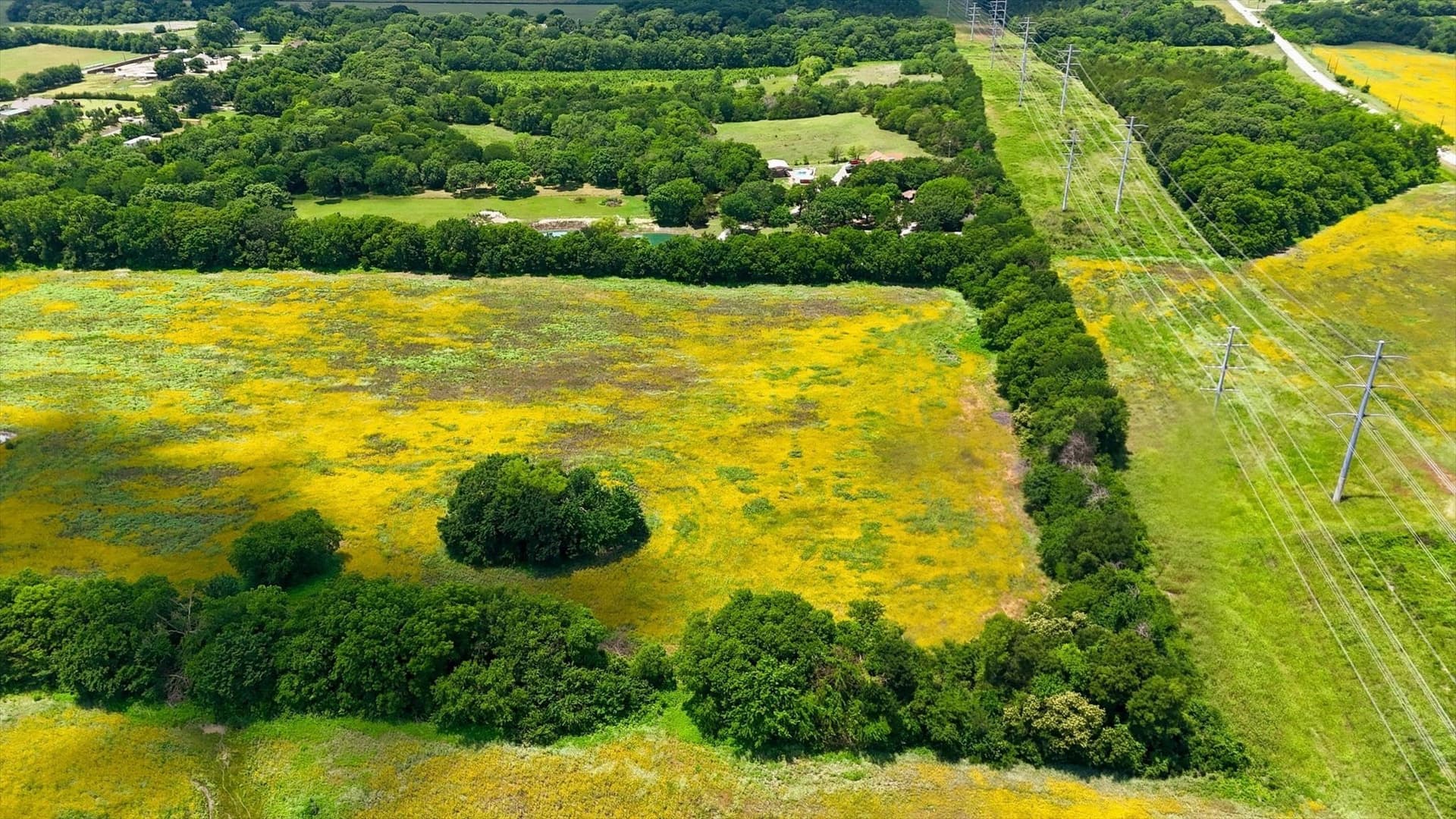 23.13 acres in Collin County - photo 12
