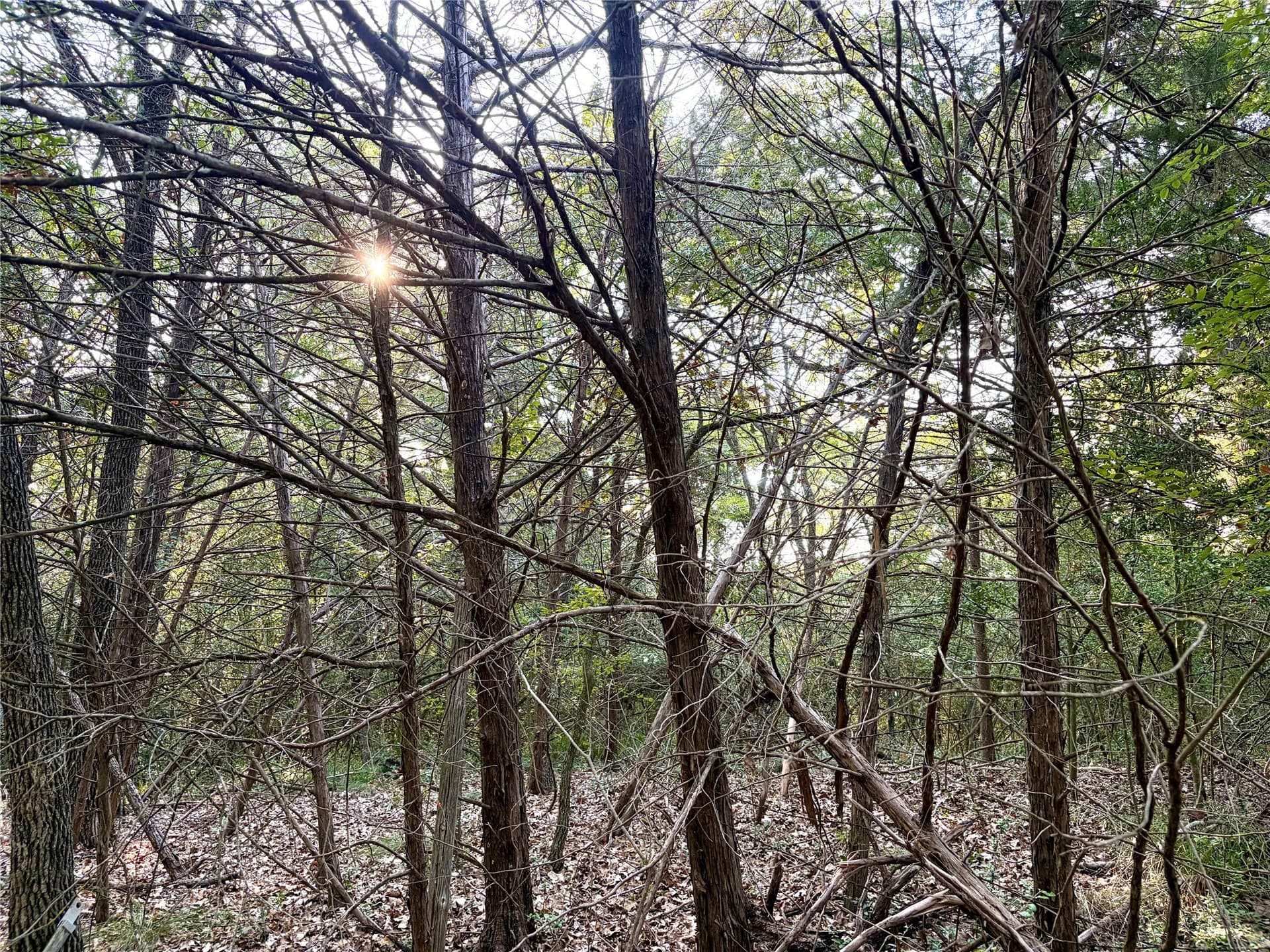 0.68 acres in Limestone County - photo 3