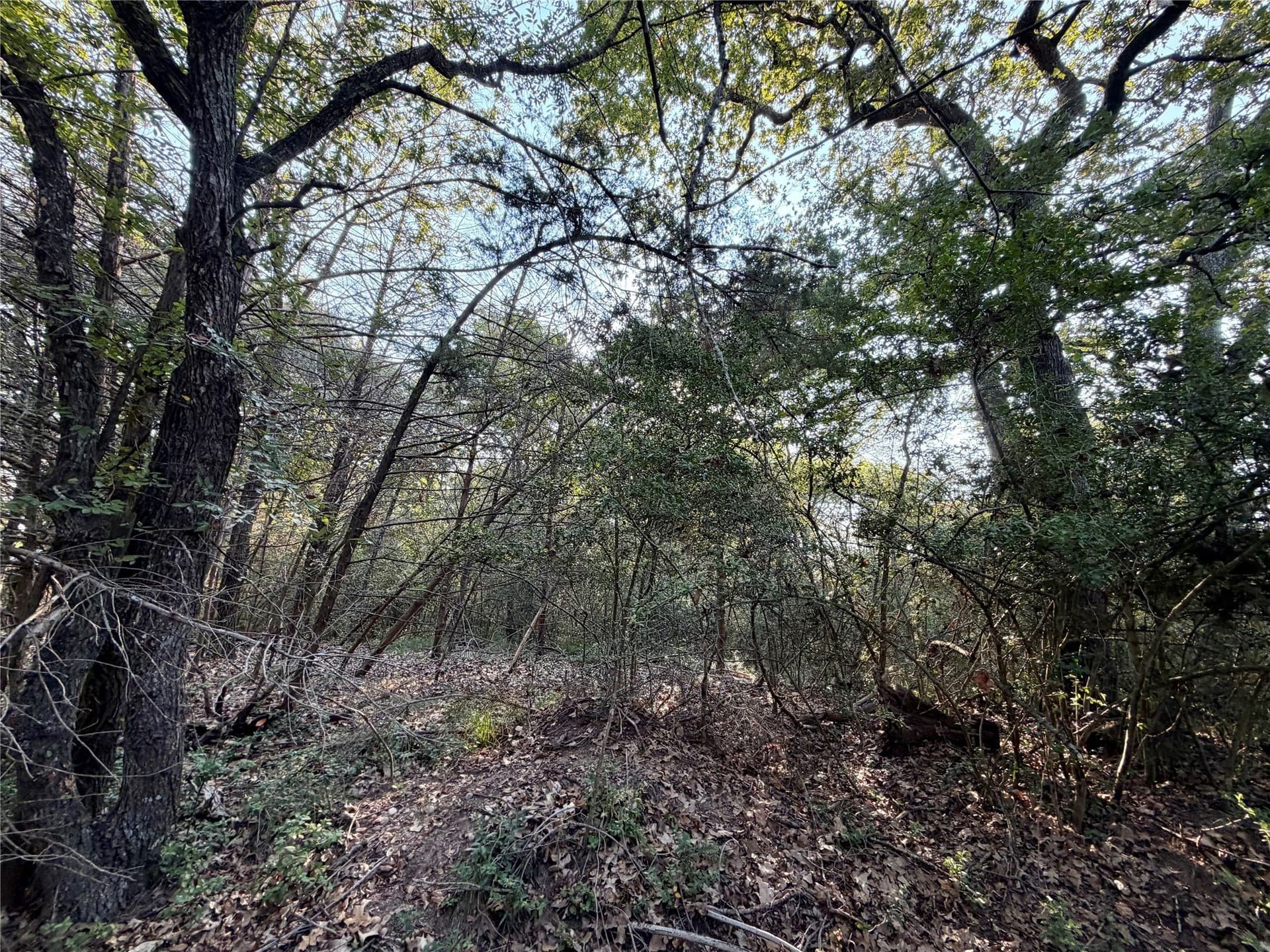 0.68 acres in Limestone County - photo 2