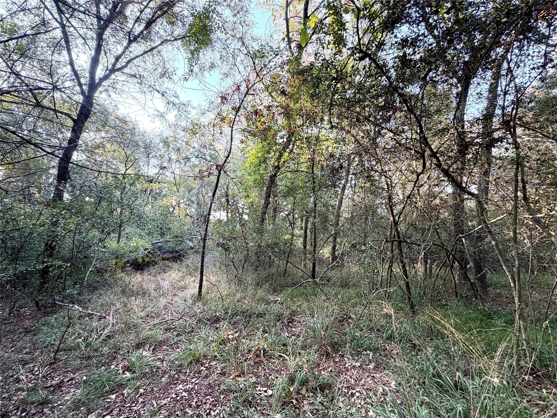 0.68 acres in Limestone County - photo 4