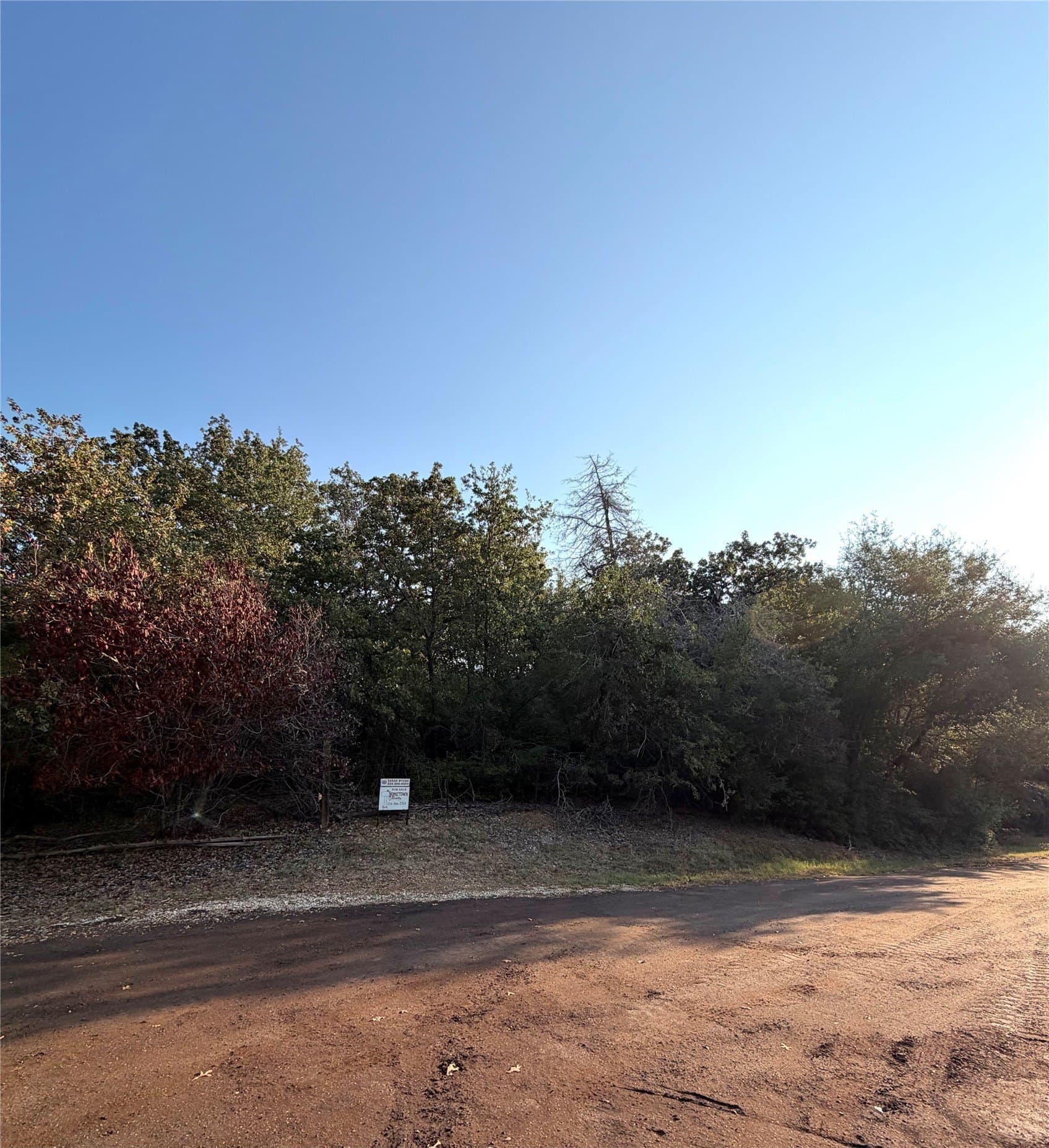 0.68 acres in Limestone County - photo 7