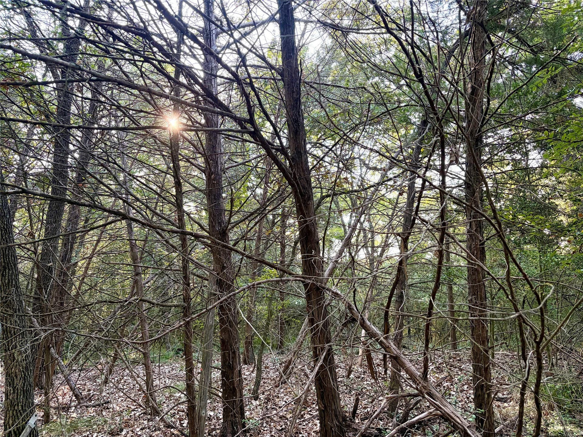 0.68 acres in Limestone County - photo 5