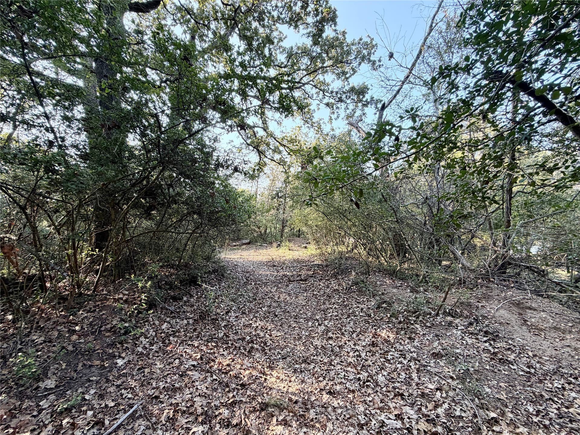 0.68 acres in Limestone County - photo 6