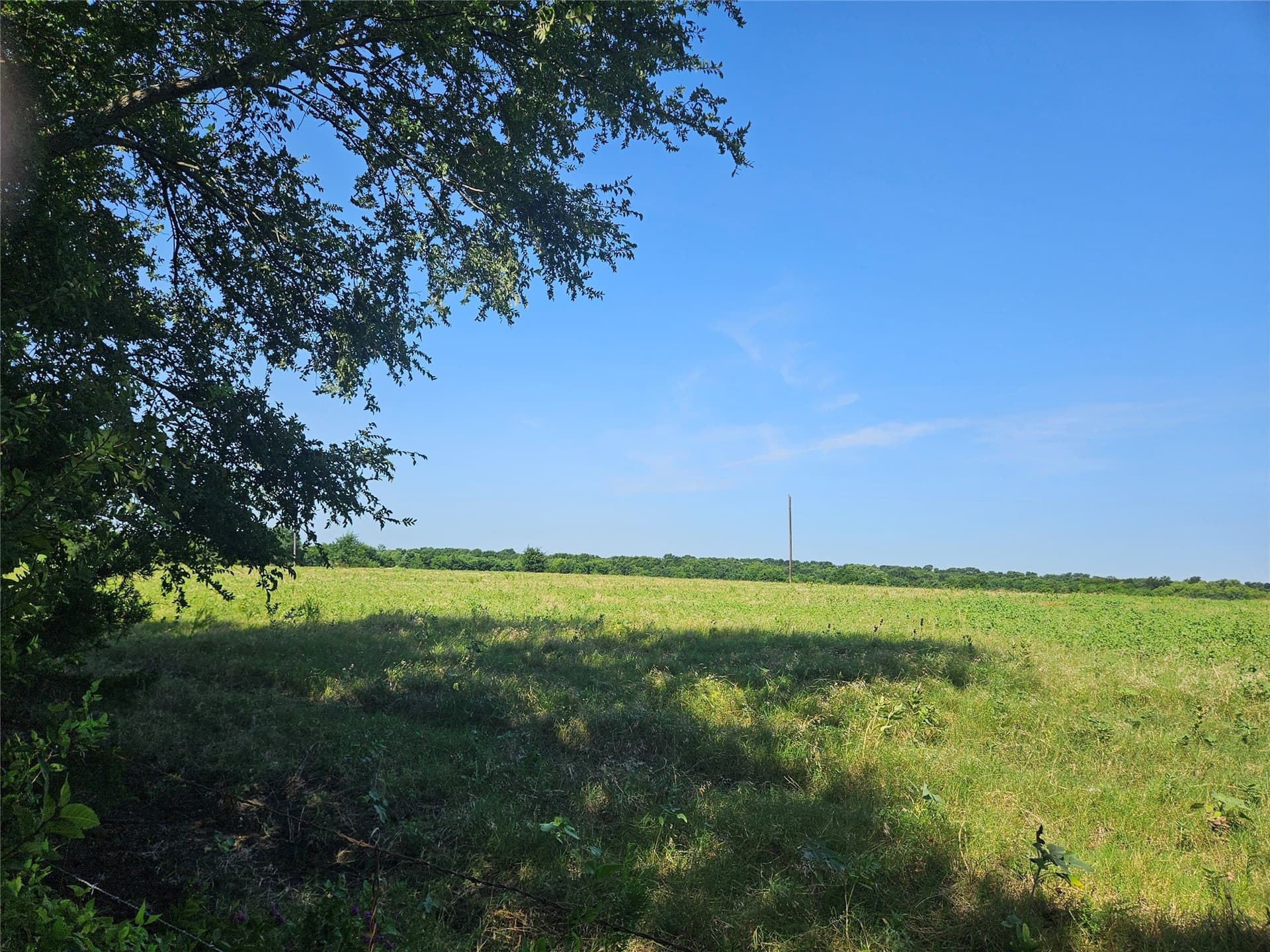 42.8 acres in Fannin County gallery image 4