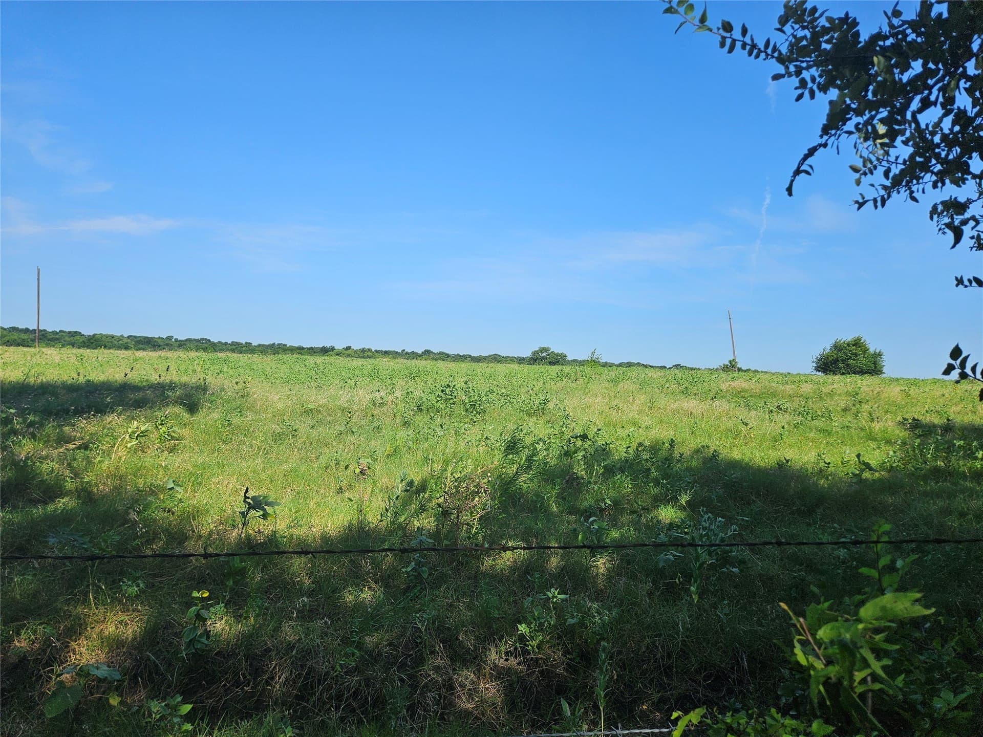 42.8 acres in Fannin County featured view