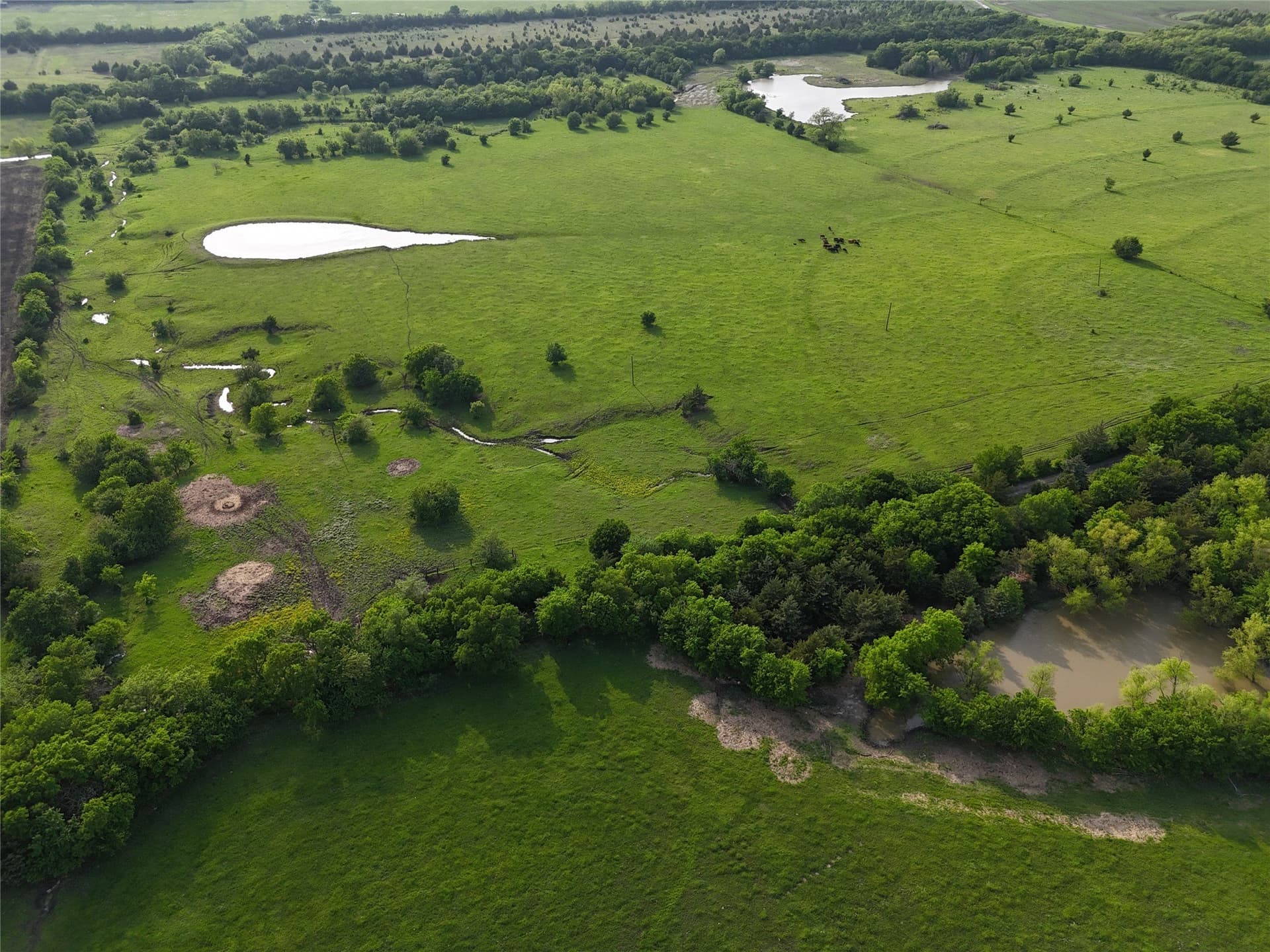 42.8 acres in Fannin County gallery image 2