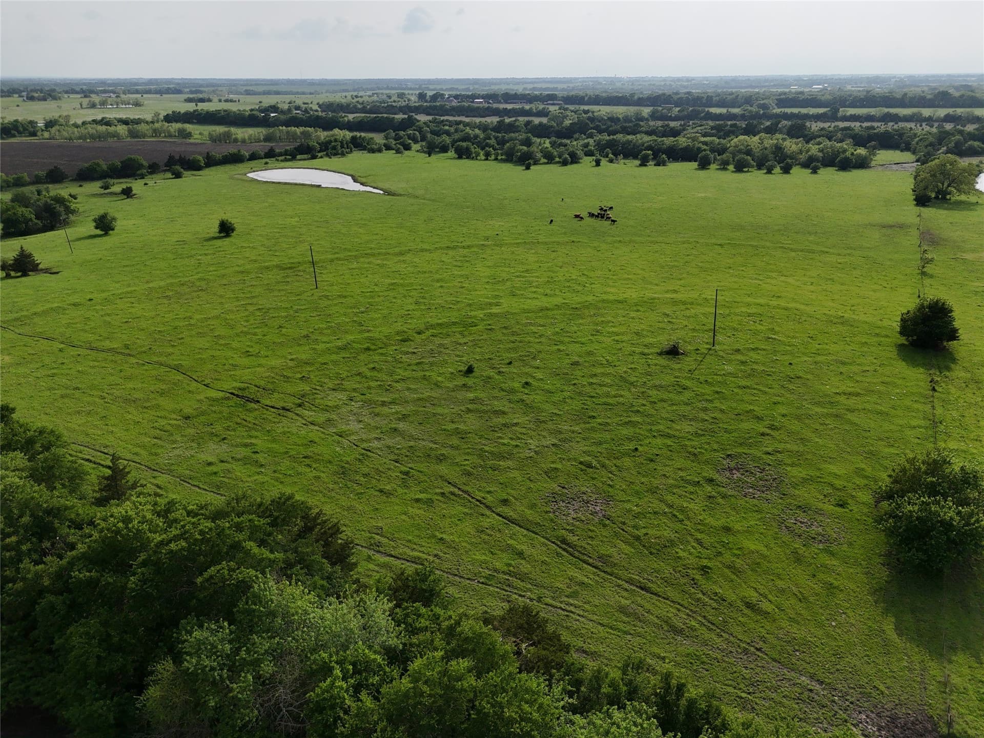 42.8 acres in Fannin County gallery image 3