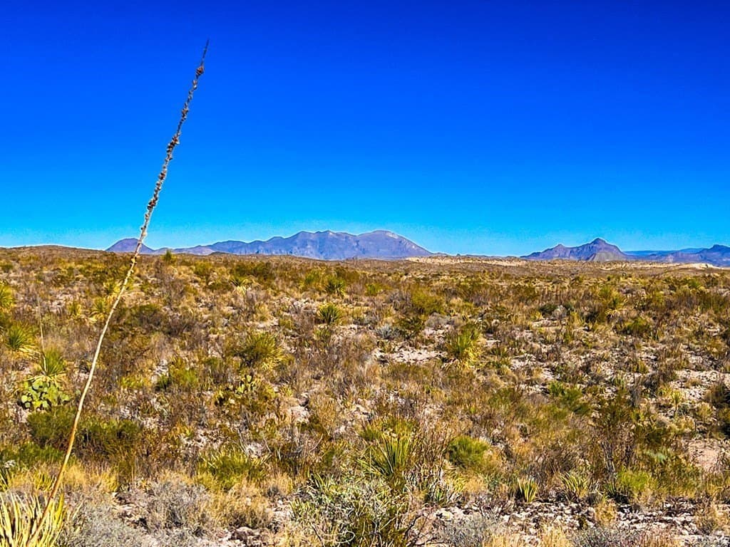 640 acres in Brewster County gallery image 3