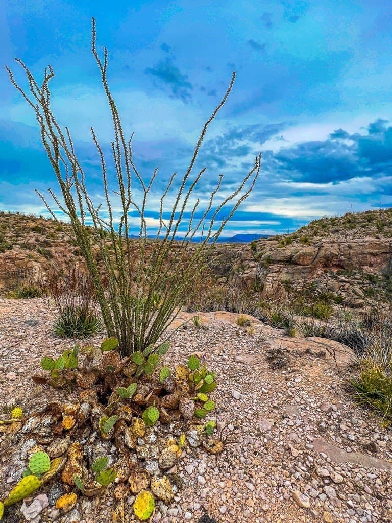 640 acres in Brewster County - photo 33