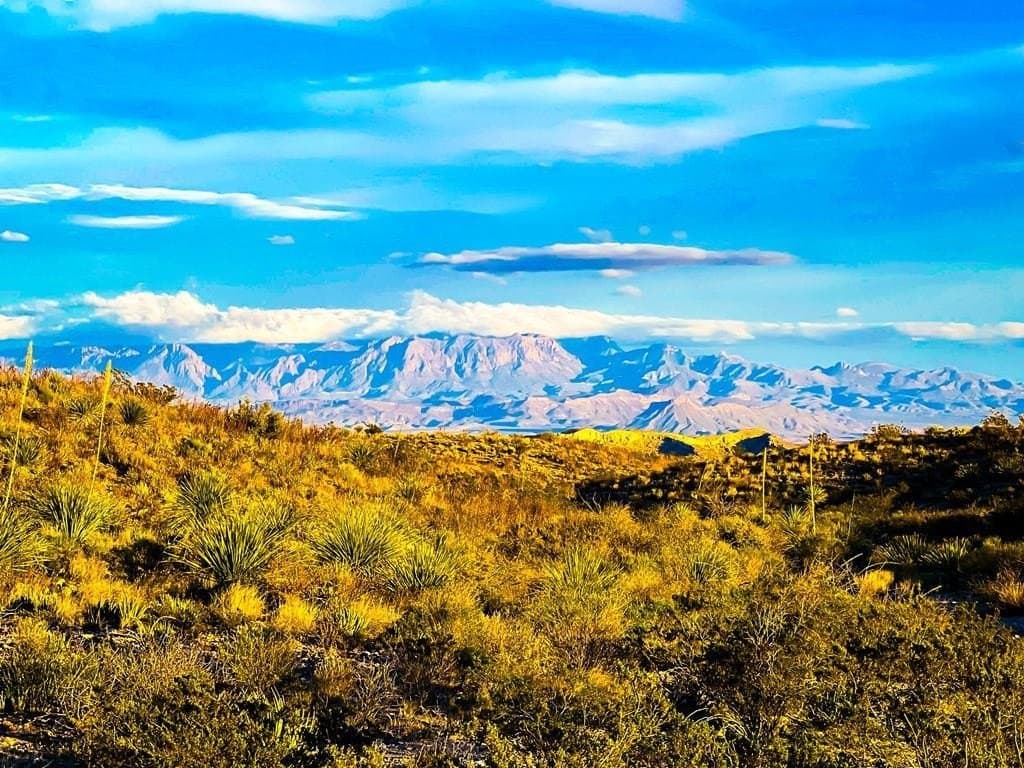 640 acres in Brewster County