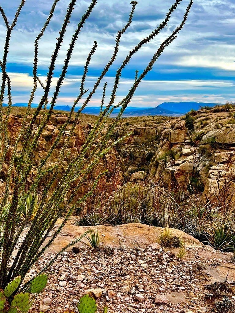 640 acres in Brewster County - photo 32