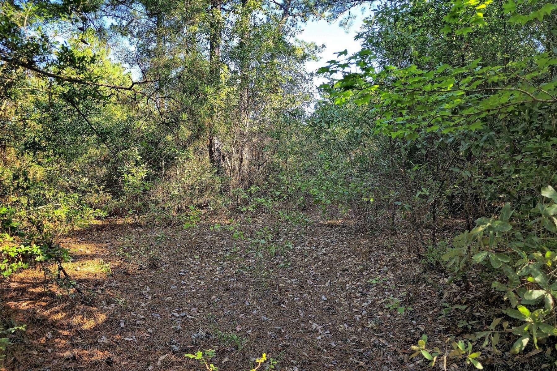 77.47 acres in Texas County - photo 8
