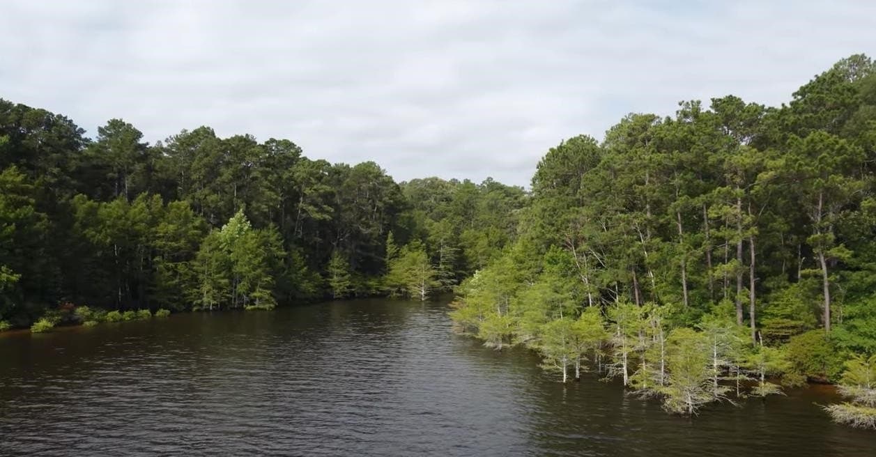 77.47 acres in Texas County - photo 13