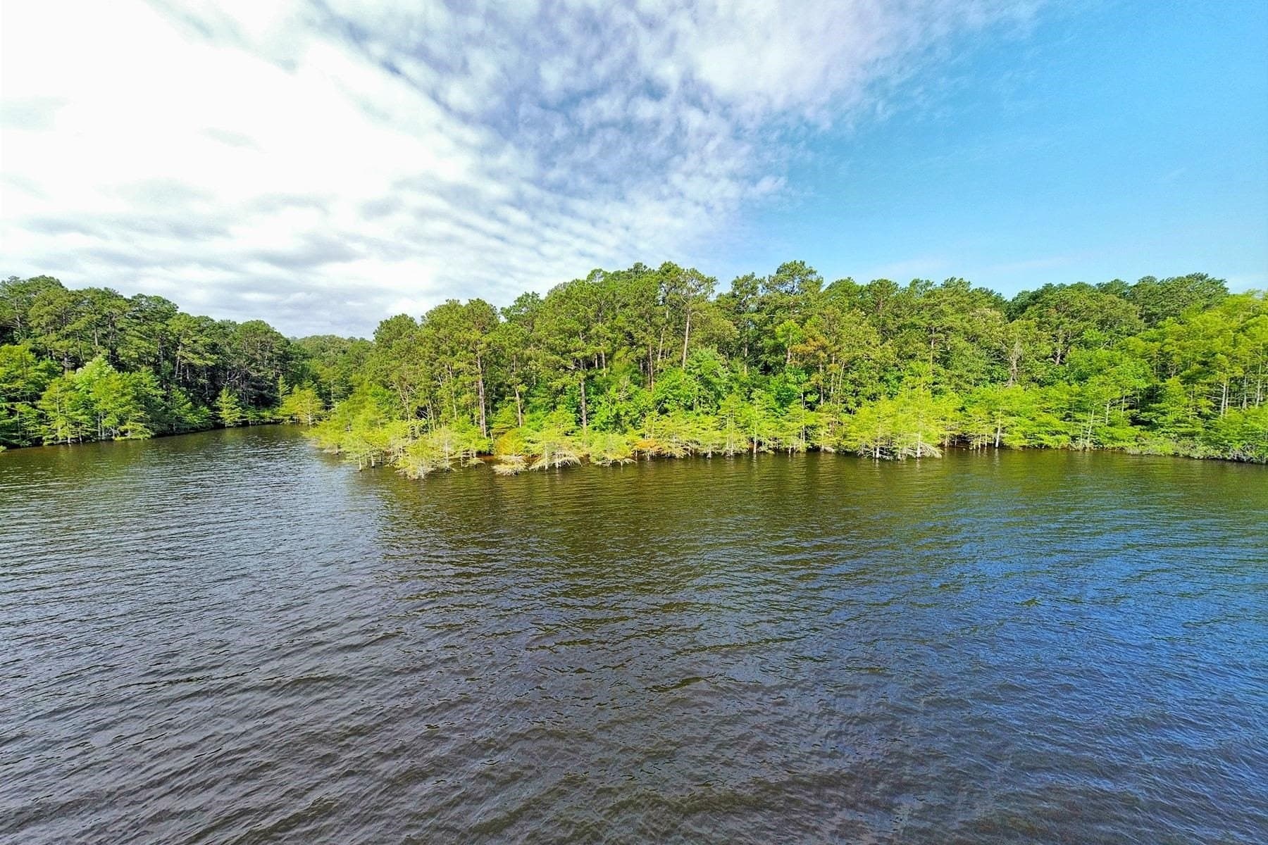 77.47 acres in Texas County - photo 6