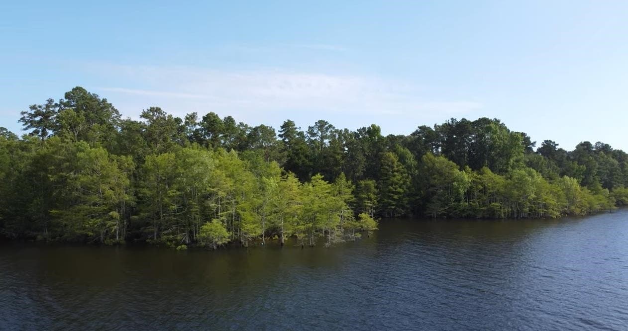 77.47 acres in Texas County - photo 15
