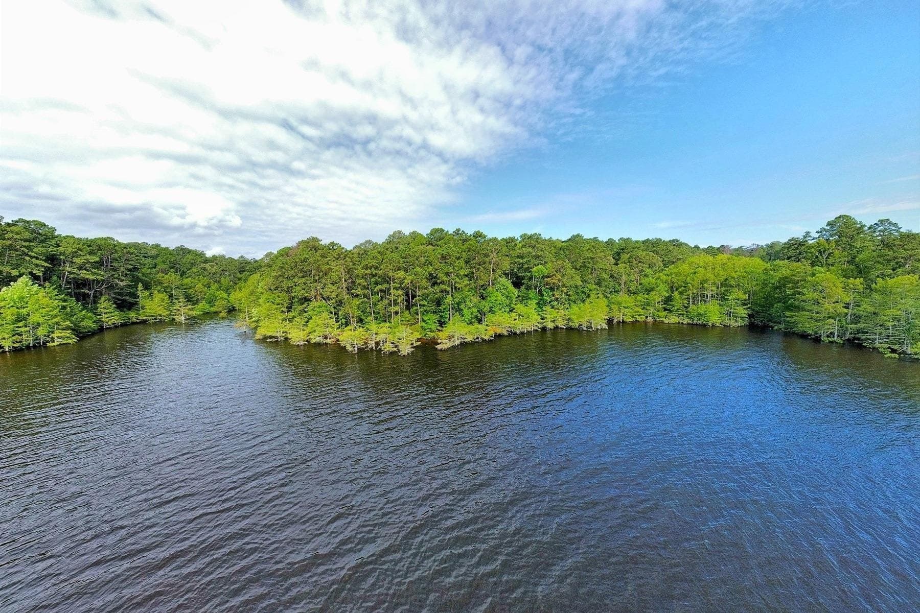 77.47 acres in Texas County - photo 3