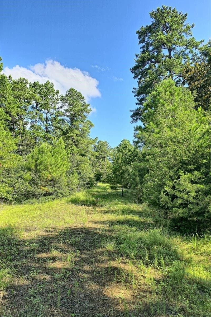 77.47 acres in Texas County - photo 26