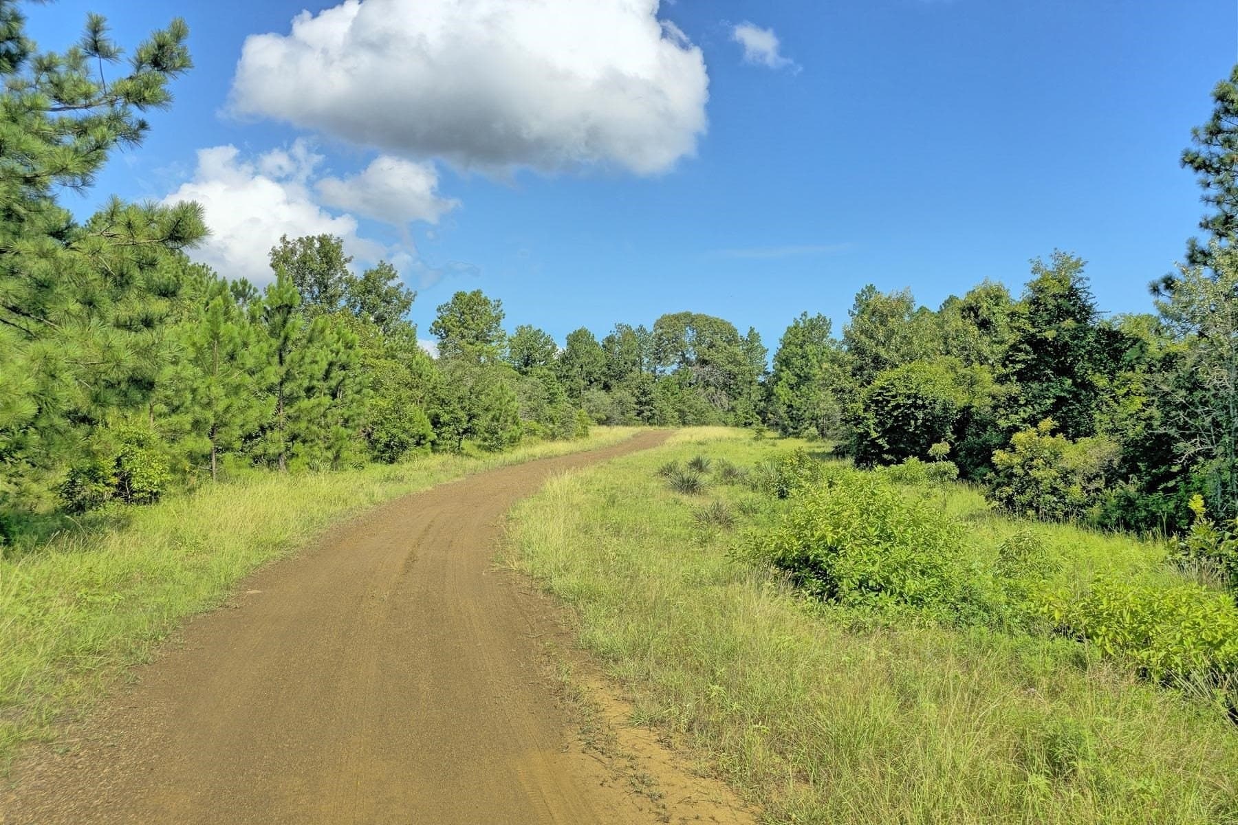 77.47 acres in Texas County - photo 30