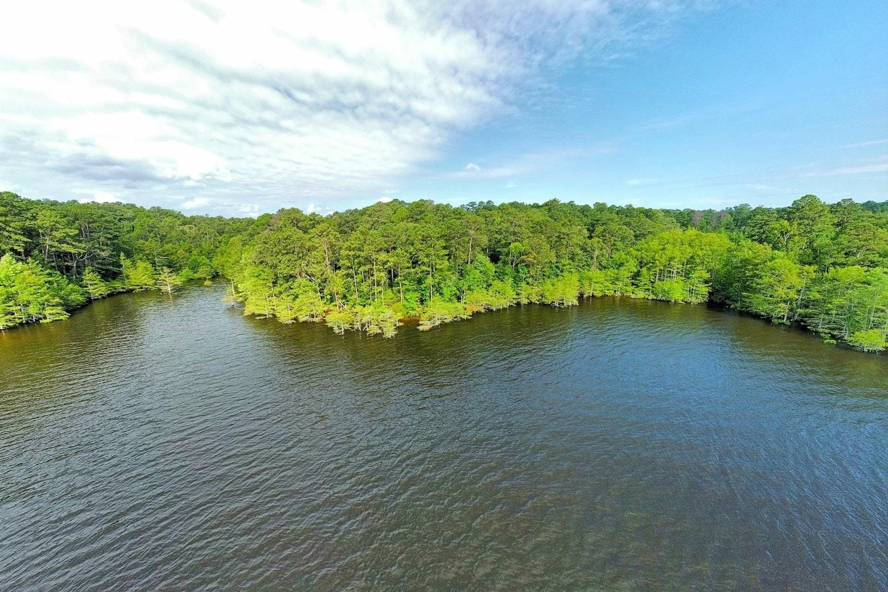 77.47 acres in Texas County - photo 4
