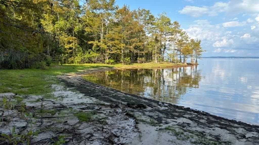 77.47 acres in Texas County - photo 9