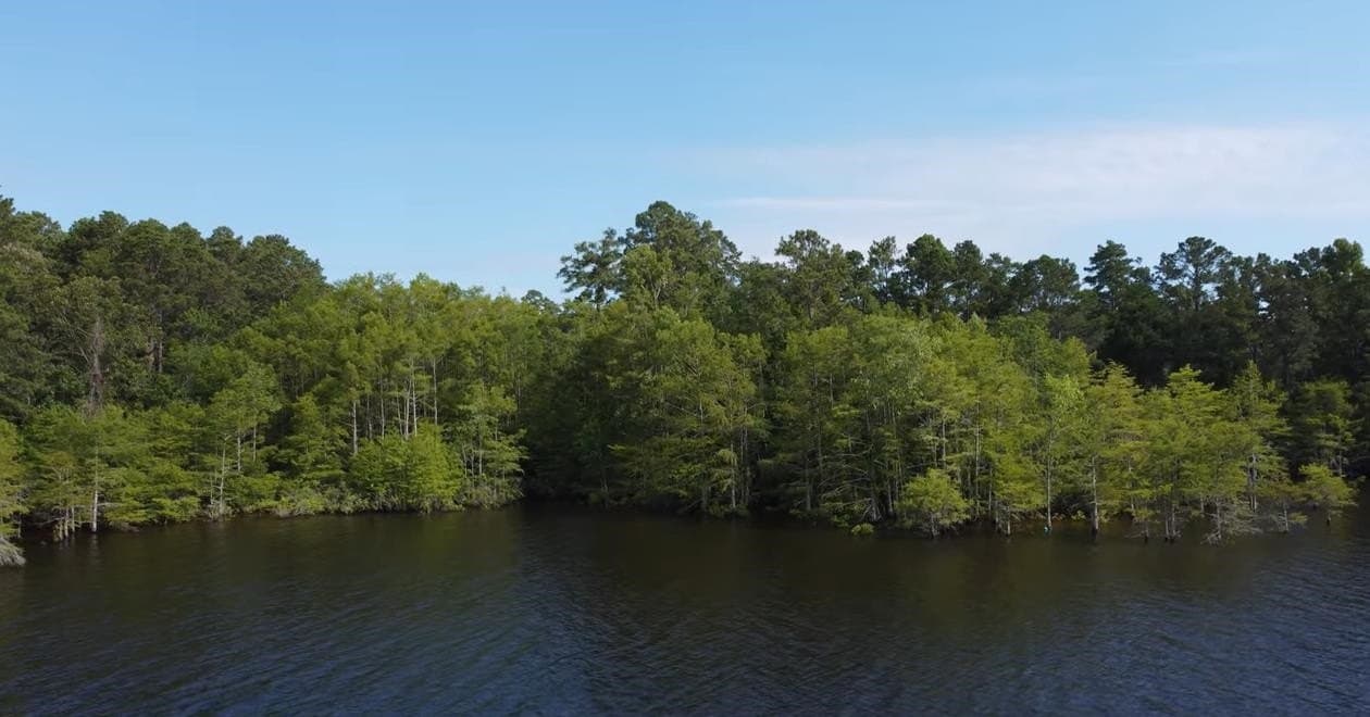 77.47 acres in Texas County - photo 14