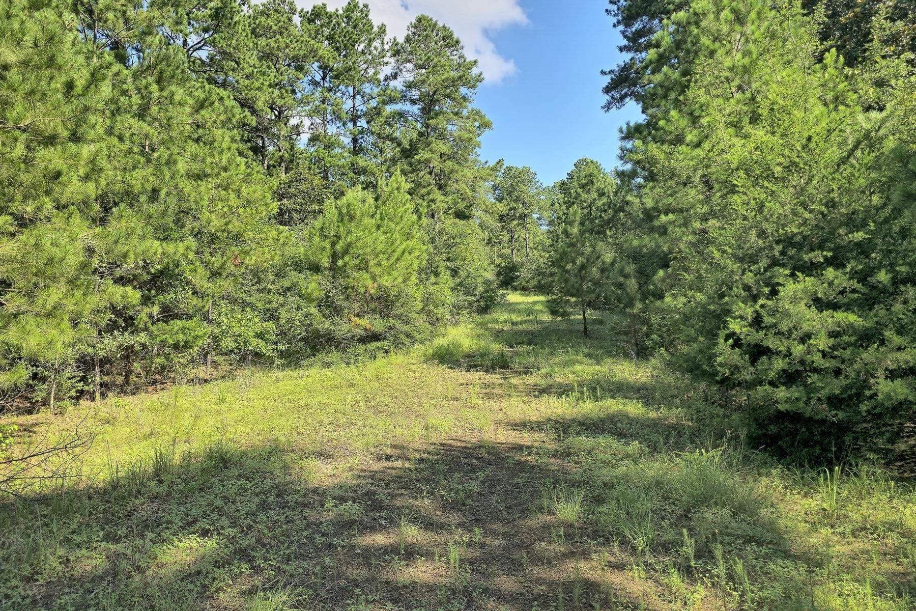 77.47 acres in Texas County - photo 28