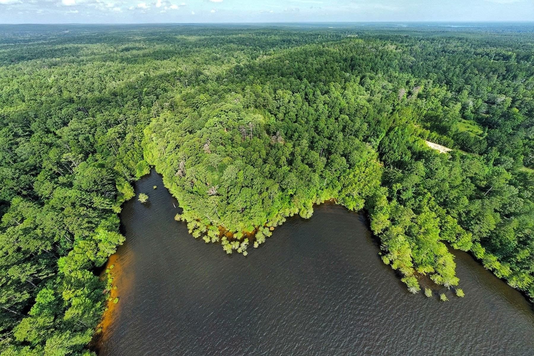 77.47 acres in Texas County - photo 7