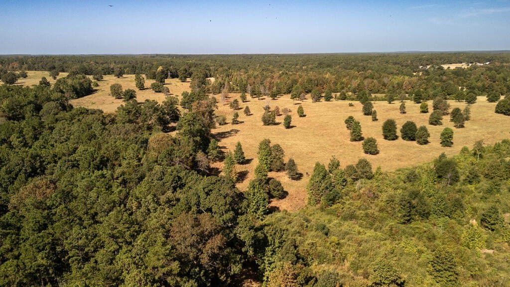 175.33 acres in Texas County - photo 31