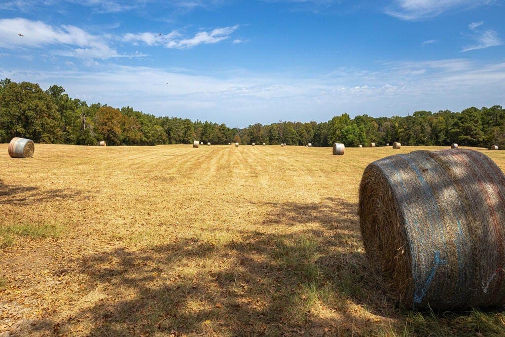 175.33 acres in Texas County - photo 103