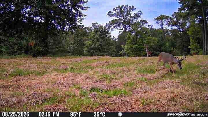 175.33 acres in Texas County - photo 132